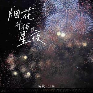烟花升停在星夜