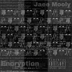 Encryption (Explicit)