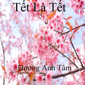 Tết Là Tết