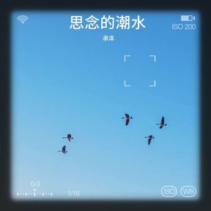 那些思念的潮水