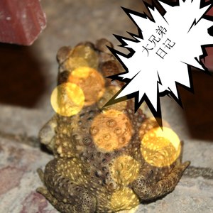 七秒钟的相遇 (Demo)