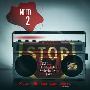 Need 2 Stop (feat. DNA Stylez, Swirvin Irvin & jAzz) [Explicit]