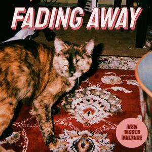 Fading Away (feat. Ethan Traugh)