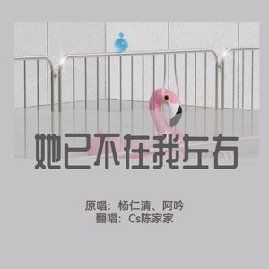 她已不在我左右