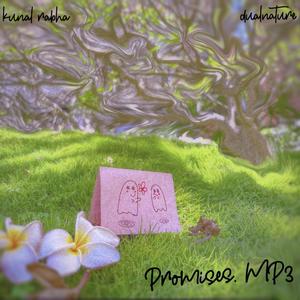 promises.mp3 (feat. Kunal Rabha) [Explicit]