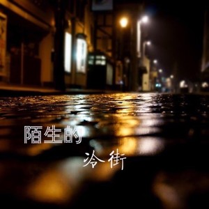 陌生的冷街