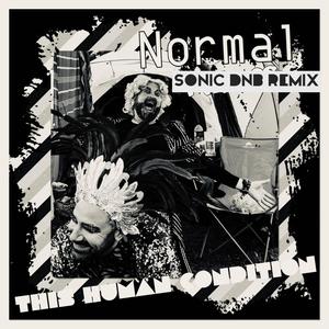 Normal (feat. Jamie Jamal) (Sonic DnB Remix)