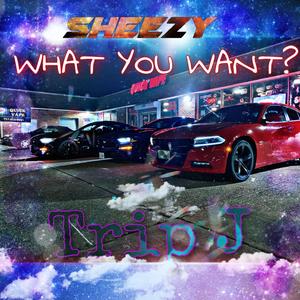 What You Want? (Explicit)