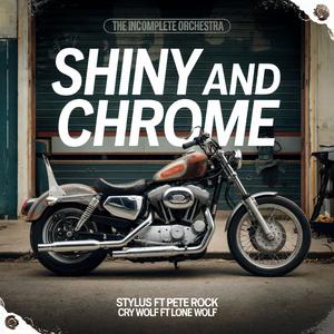 Shiny And Chrome The Single (Explicit)