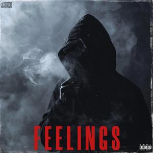 FEELINGS (Explicit)