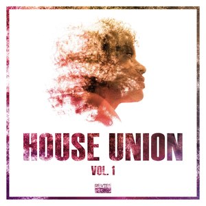 House Union, Vol. 1