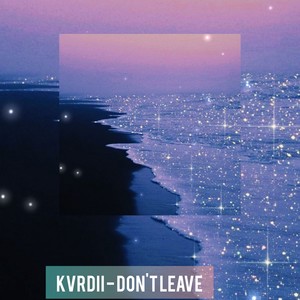 Don't Leave (feat. Sheddie Bankz)