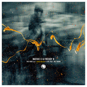 The Void(feat. Lauren Walton)