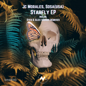 Starfly (Alex Sounds Remix)