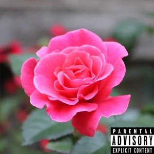 ROSÀ(feat. Johnny Nash) (Explicit)