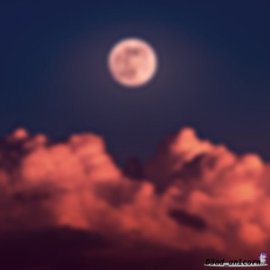 dreams of moonlight