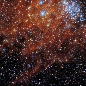 Who Doesn't Like The Fkn Stars?! (feat. Liza Oxnard)