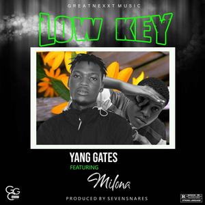 Low Key (feat. Milona)