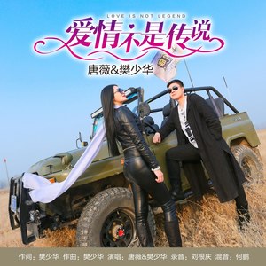 爱情不是传说 (DJ何鹏版伴奏) - 唐薇、樊少华封面