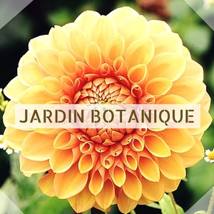 Jardin Botanique - Zen musique de la nature pour se détendre à la campagne