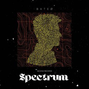 Spectrum (Radio Mix)