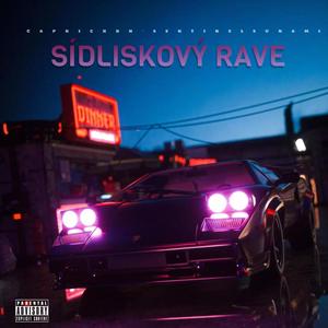 SÍDLISKOVÝ RAVE (feat. sentinelsunami) [Explicit]