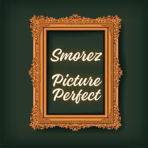 Picture Perfect (Explicit)