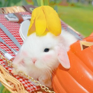 零几年听的情歌 (女生版)