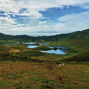 Meu Lugar (Explicit)