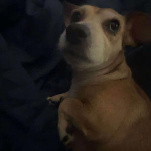 New Drank (Explicit)