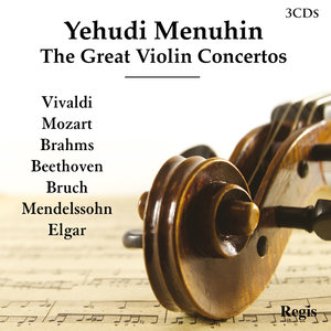 Violin Concerto in E Minor, Op. 64 - I. Allegro molto appassionato