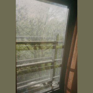 A Rose Told Me About Love. (Sped-Up) (Sped-Up)