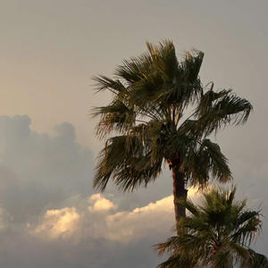 RangeTruck (feat. FTWLando & Frank Benny) (Explicit)