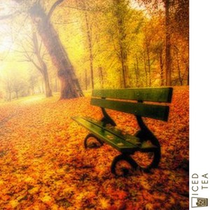 가을 바람이 분다