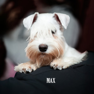 Max