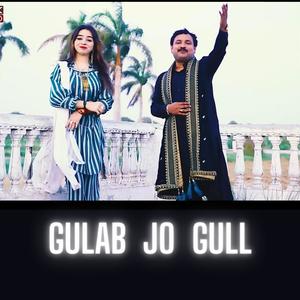 Gulab Jo Gull (feat. M.Wali)