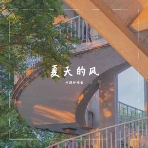 夏天的风