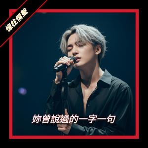 妳曾说过的一字一句