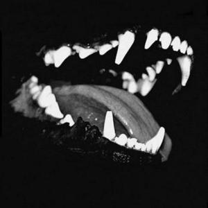 Dawg Fight (Explicit)