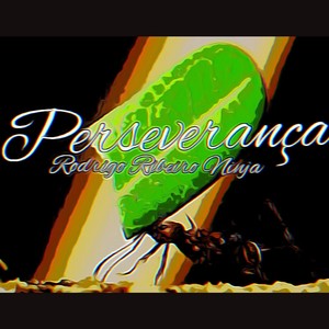 Perseverança (Explicit)