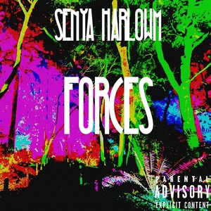 Forces (Explicit)