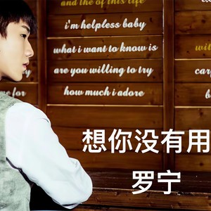 想你没有用 (伴奏)