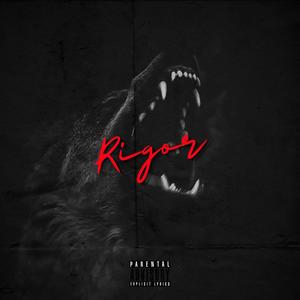 Rigor (Explicit)