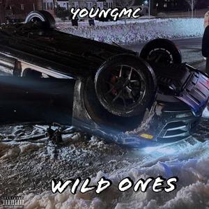 Wild Ones (Explicit)