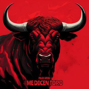 Me Dicen Toro