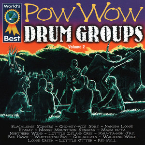 Pow Wow Drum Groups, Vol. 2