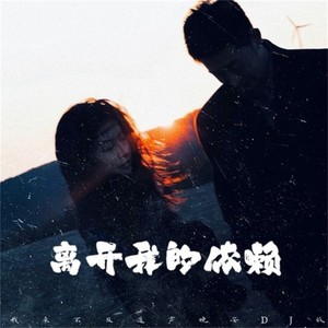 离开我的依赖封面
