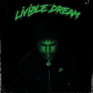 Livible Dream (Explicit)