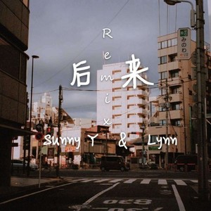 热岛HD - 刘若英-后来 (热岛HD/SunnyY/Lynn-NNNNNNNN Remix)
