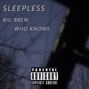 SLEEPLESS (feat. WHO KNOWS) [Explicit]